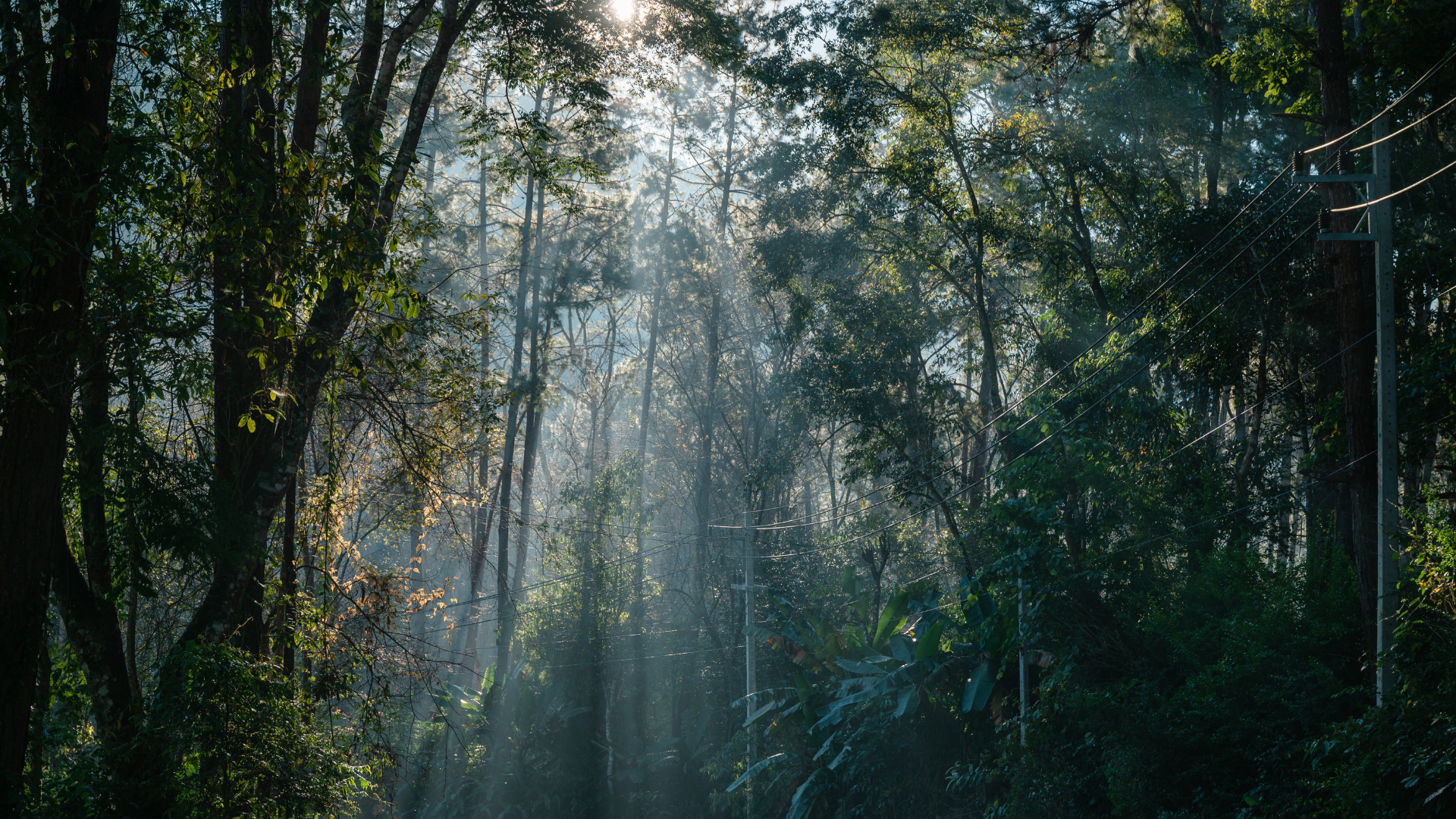 Feature Image